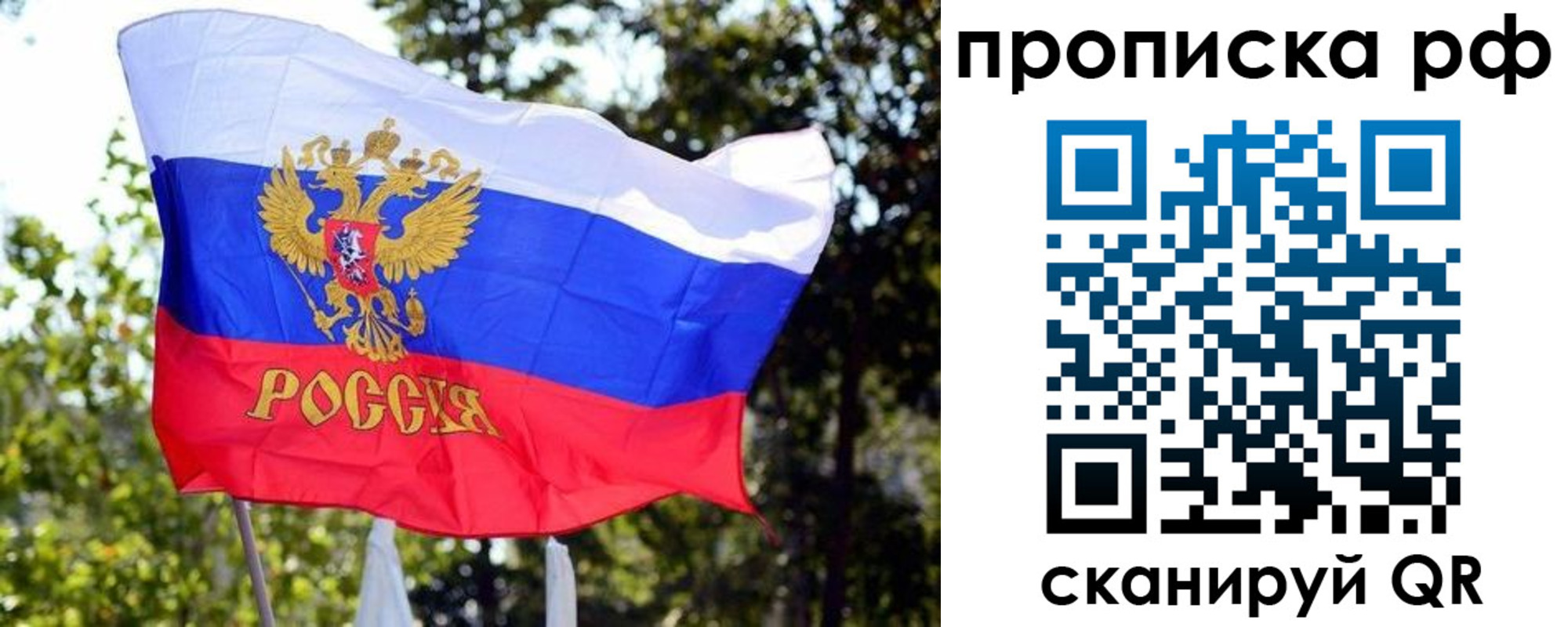 временная регистрация надежно в Зеленоградске